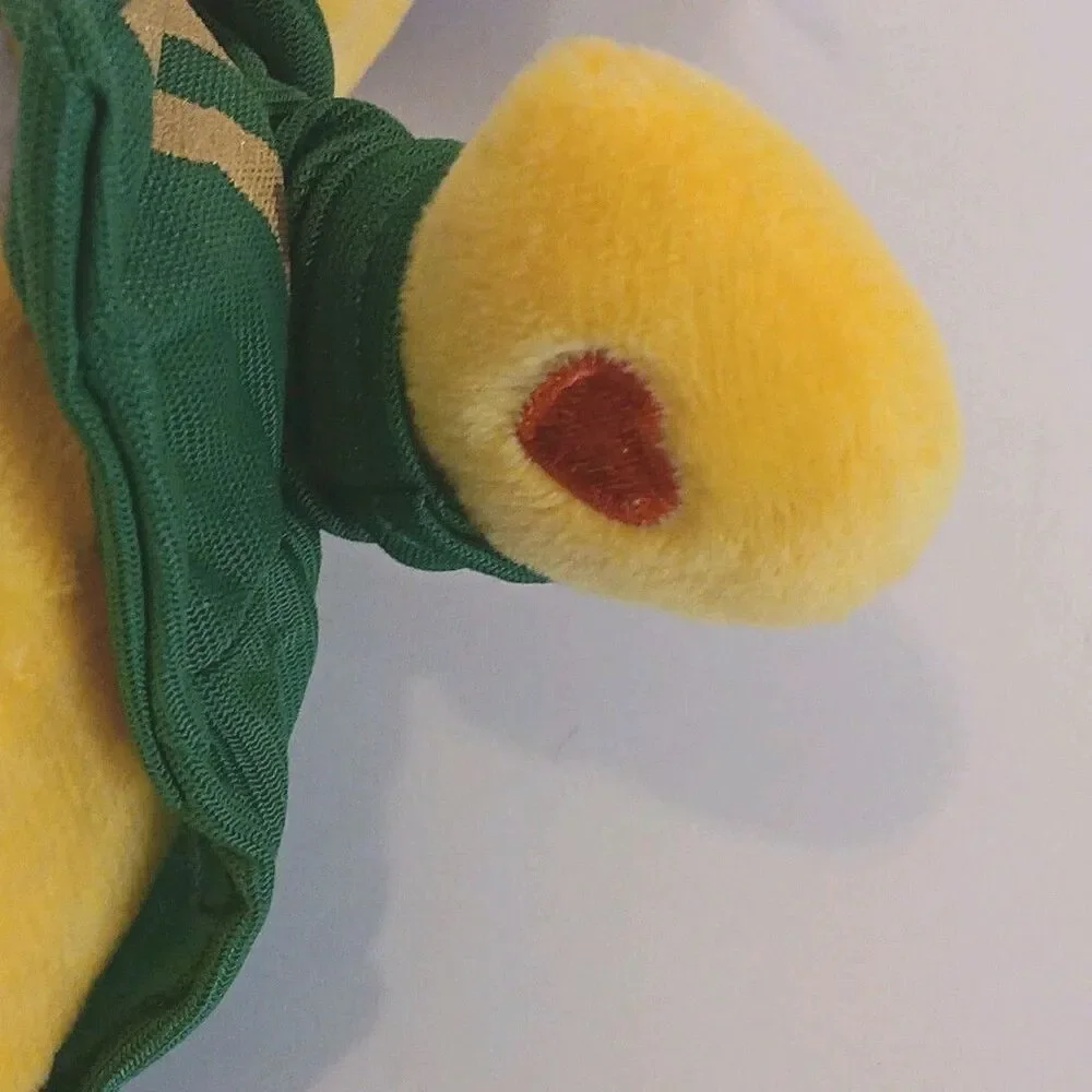 Care Bears Wicked Funshine Bear as the Scarecrow 10